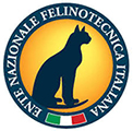Logo Enfi